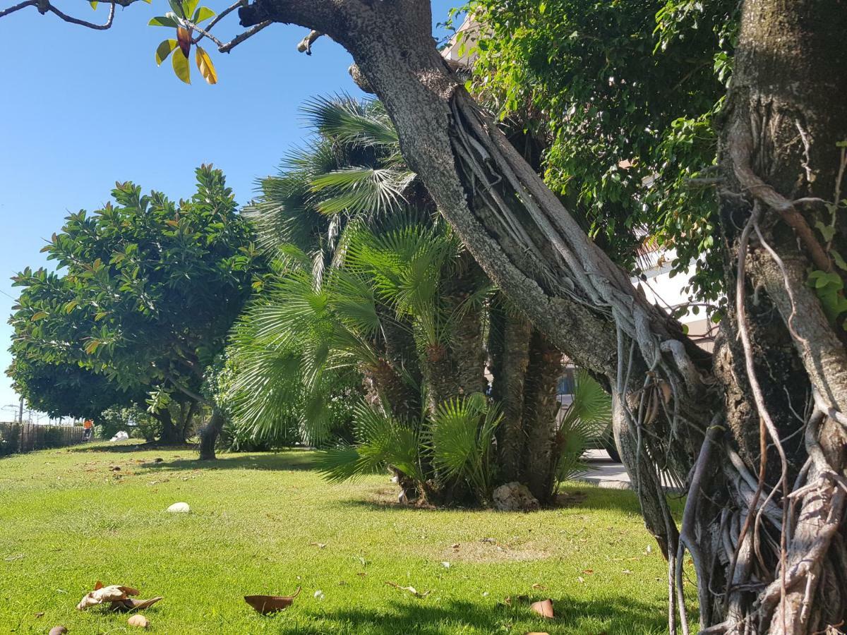 Complex Vicor Vilassar De Mar